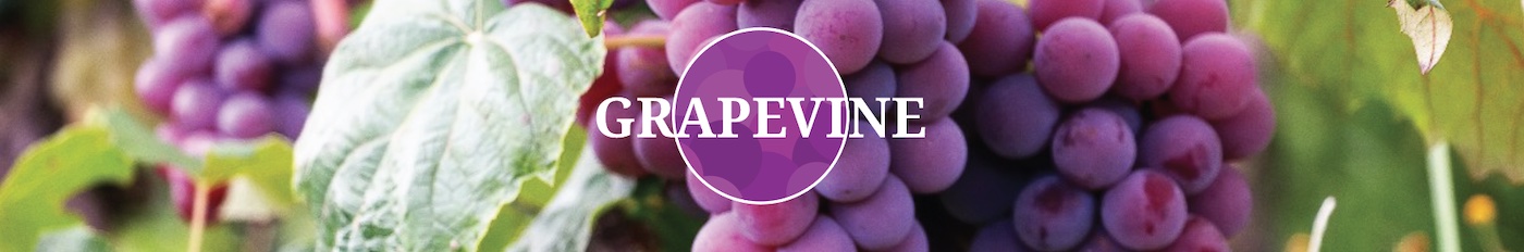 Grapevine Banner - Logo